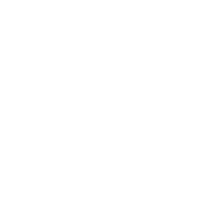Camerchina
